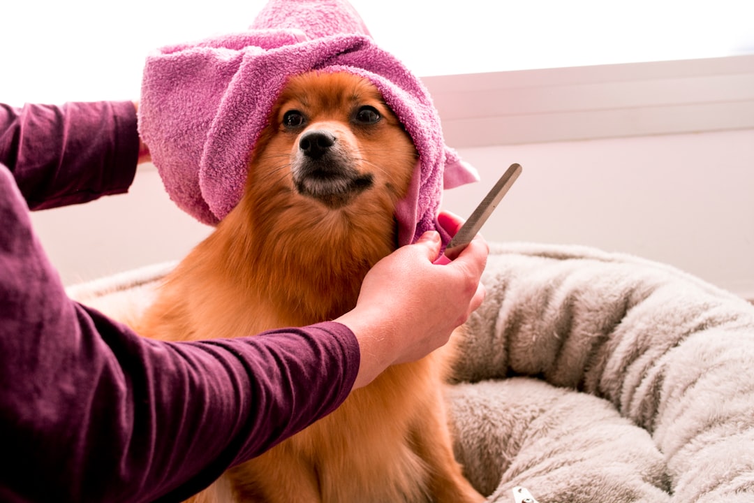 Funcionário de petshop usando tablet com agente de IA para agendar banho e tosa de cachorro